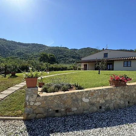 House In Tuscany Near Pisa & Villa *