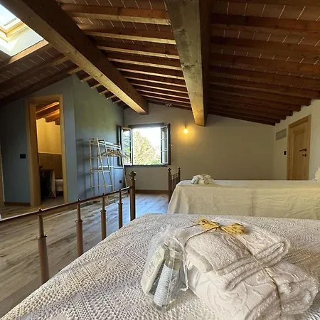 House In Tuscany Near Pisa & ヴィラ