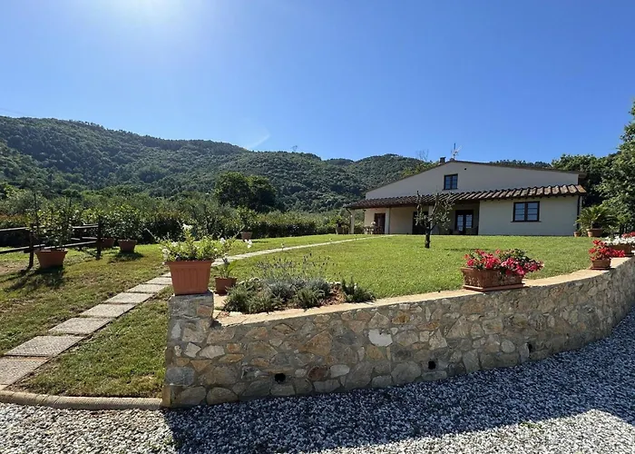 House In Tuscany Near Pisa & Villa *